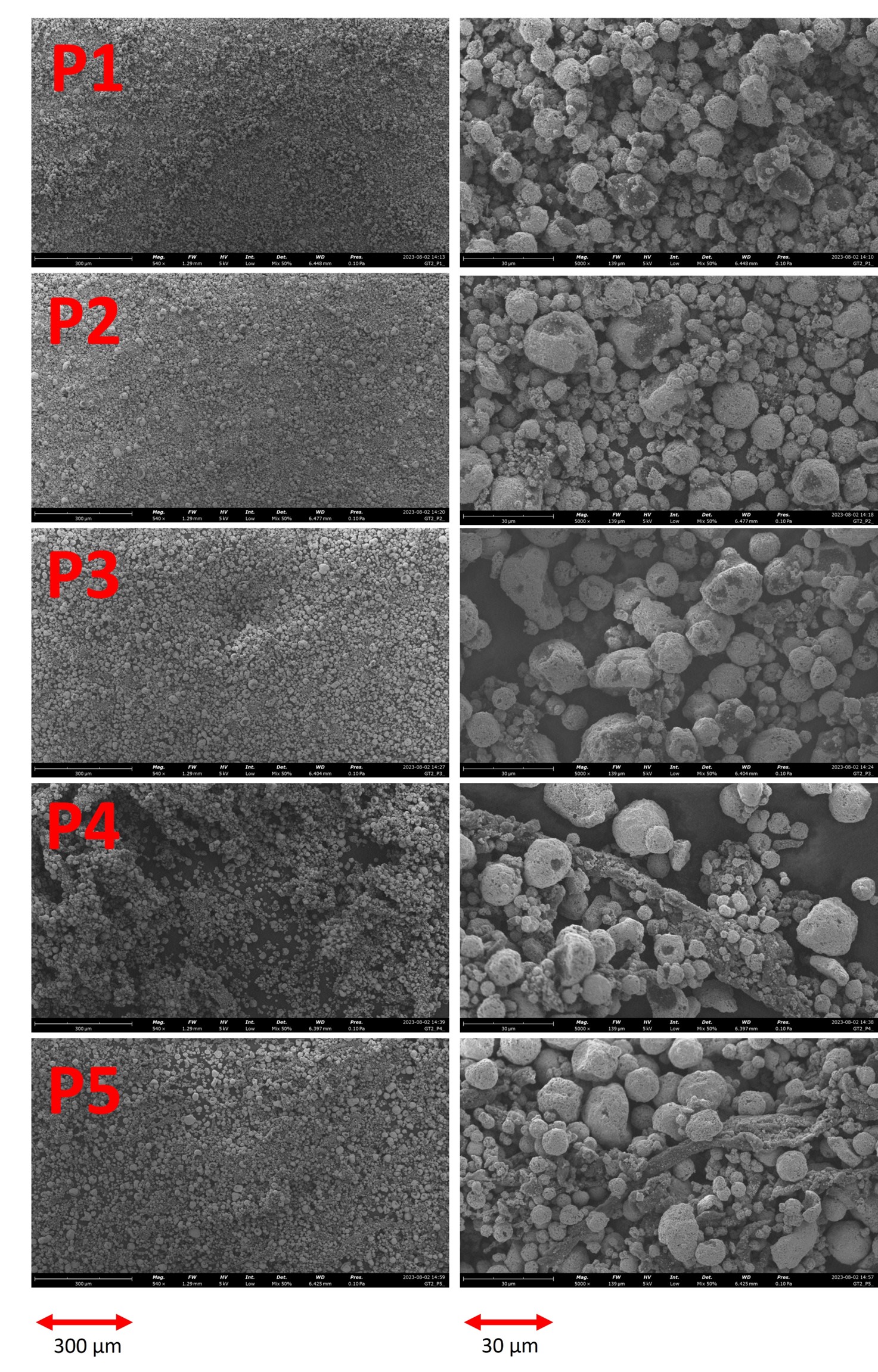 photos of SEM taken at different fibrillation times obtained with a magnification X540 on the left and x5000 on the right